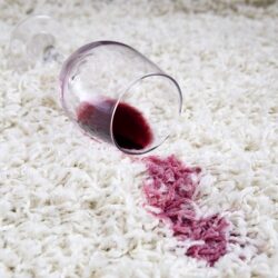 ELIMINAR LAS MANCHAS DE VINO DE TU TAPETE O ALFOMBRA